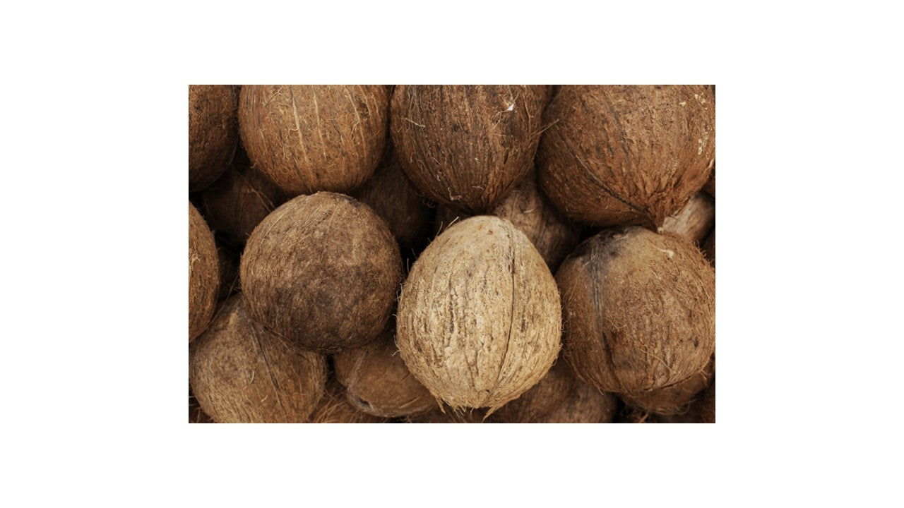 Fibra de Coco Sustrato 6 Lt
