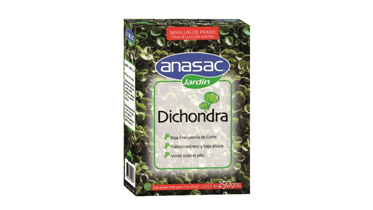 Semilla Césped Dichondra De 250g