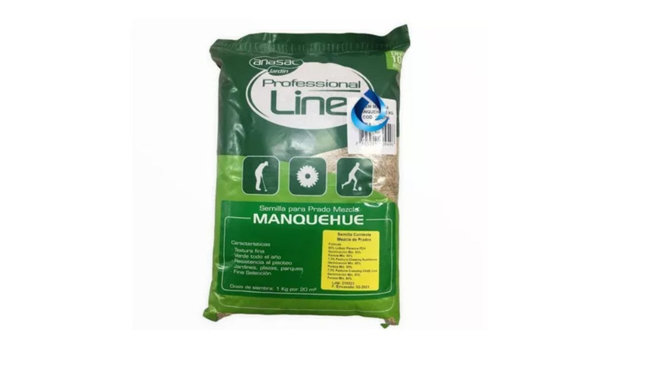 Semilla Pasto Manquehue 1 Kg