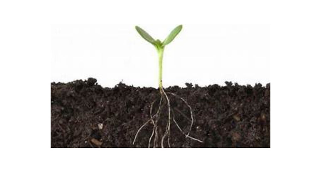Saco De Tierra De Hoja Premium Alta Calidad 40 Litros